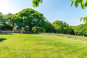 Photo 50- click for photo gallery